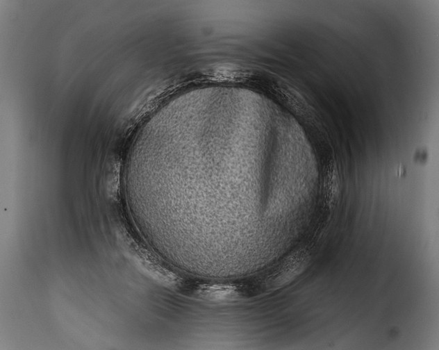 X0000115640554200911241714