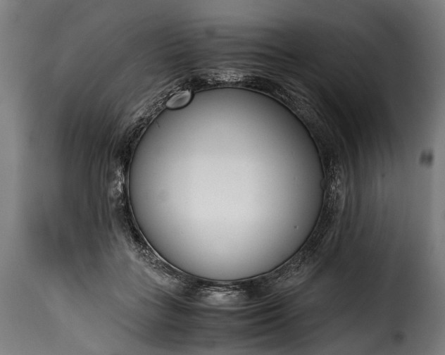 X0000115640555200911241714