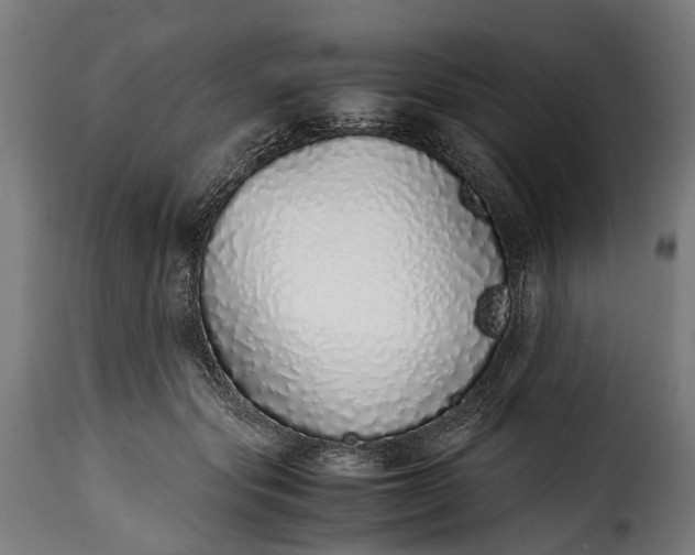 X0000115640557200911241714