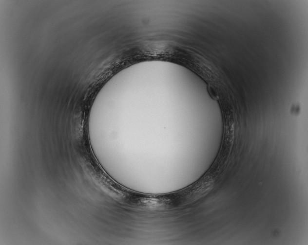 X0000115640558200911241714