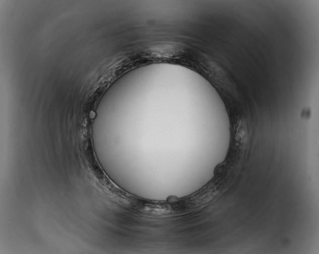 X0000115640559200911241714