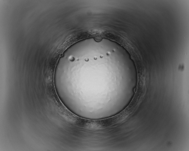 X0000115640561200911241714