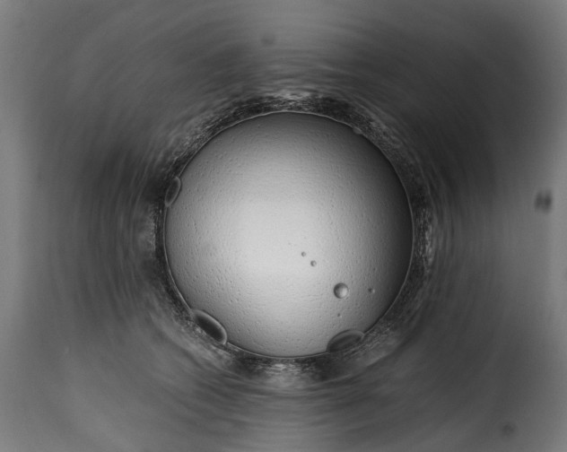 X0000115640562200911241714