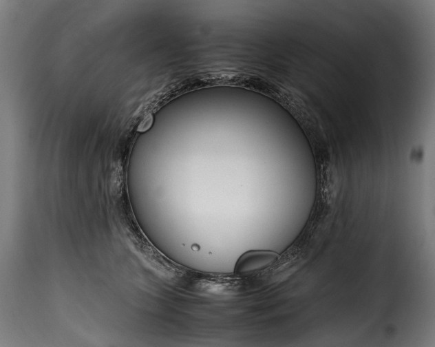 X0000115640563200911241714