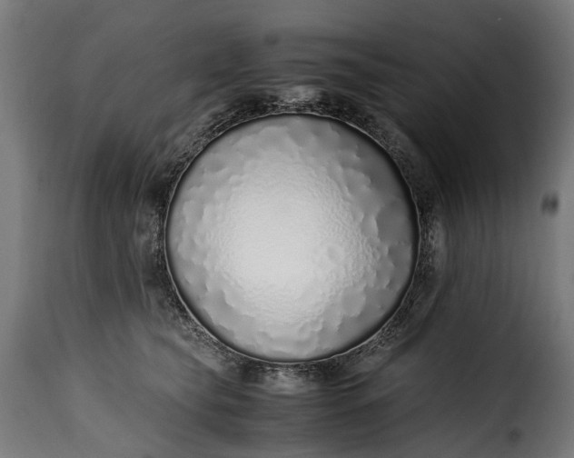 X0000115640565200911241714