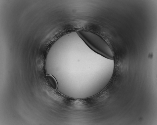 X0000115640566200911241714