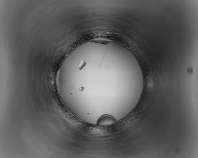 X0000115640567200911241714