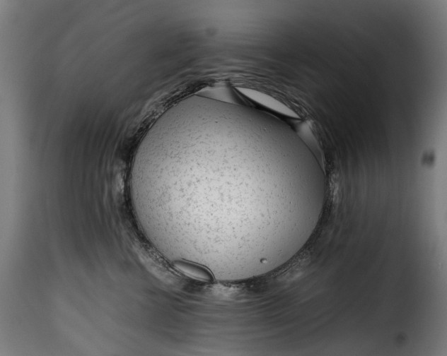 X0000115640570200911241714