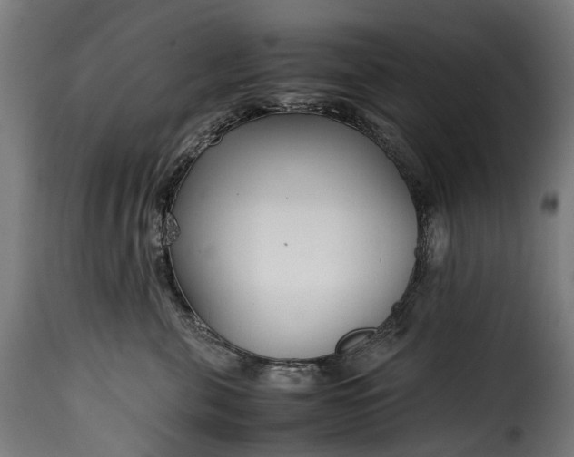 X0000115640571200911241714