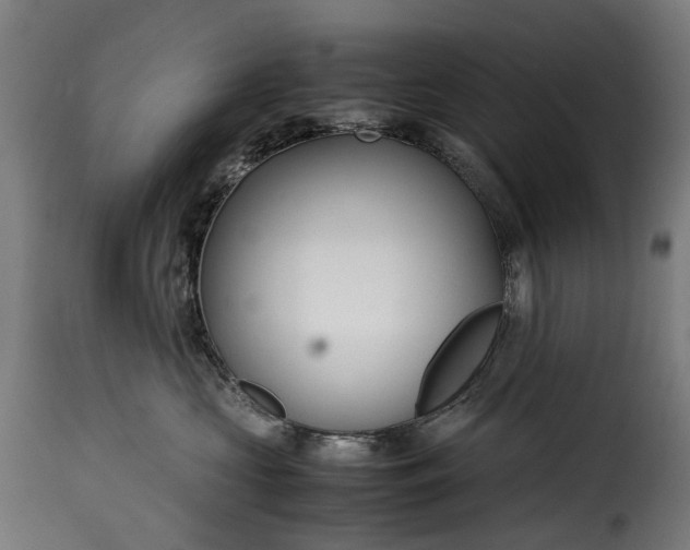 X0000115640573200911241714