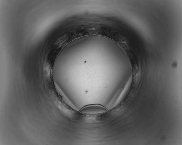 X0000115640574200911241714