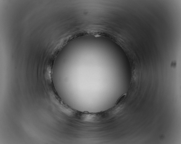 X0000115640575200911241714