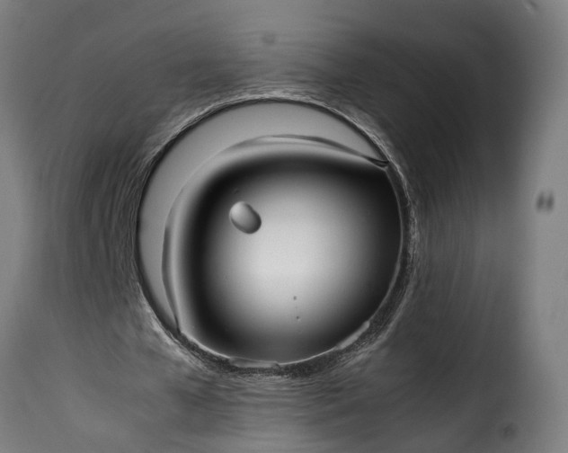 X0000115640577200911241713