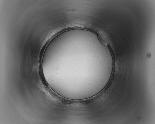 X0000115640578200911241713