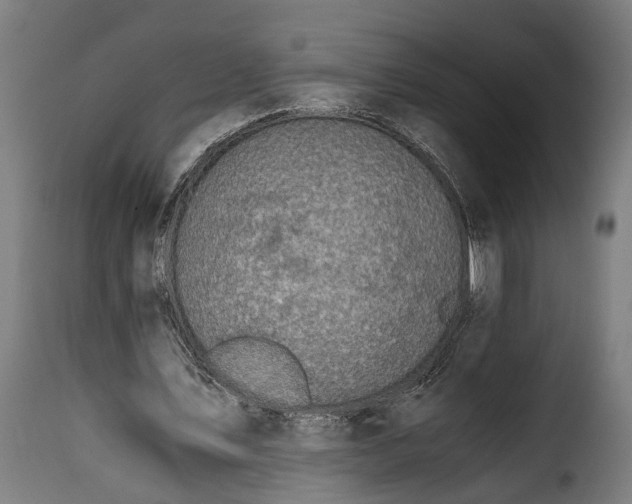 X0000115640579200911241713