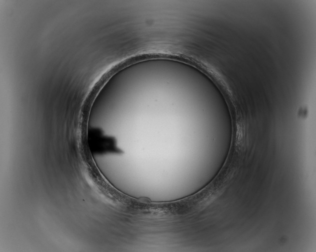 X0000115640580200911241713