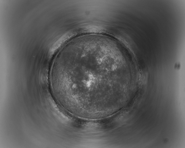 X0000115640581200911241713