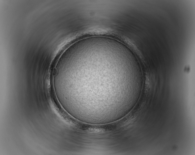 X0000115640582200911241713