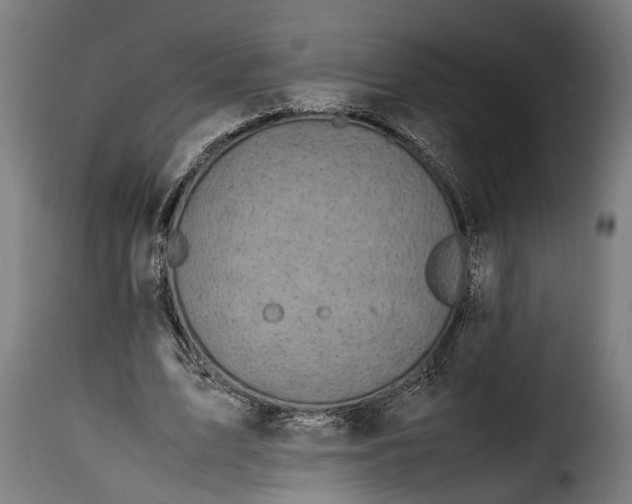 X0000115640583200911241713