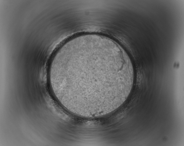 X0000115640584200911241713