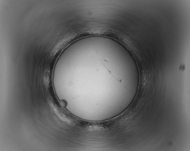 X0000115640586200911241713