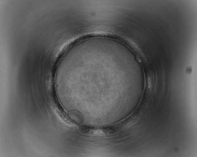 X0000115640588200911241713