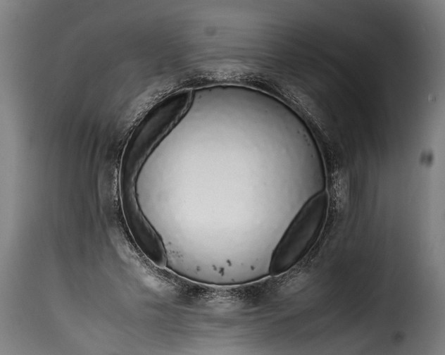 X0000115640589200911241713