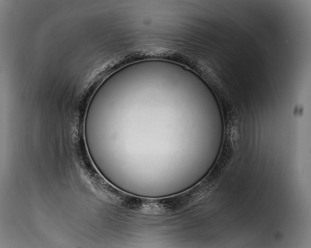 X0000115640591200911241713