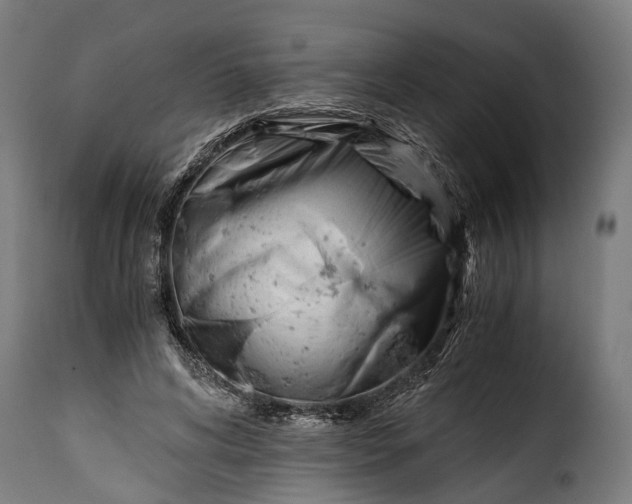 X0000115640592200911241713