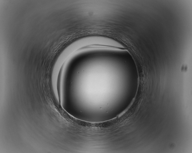 X0000115640593200911241713