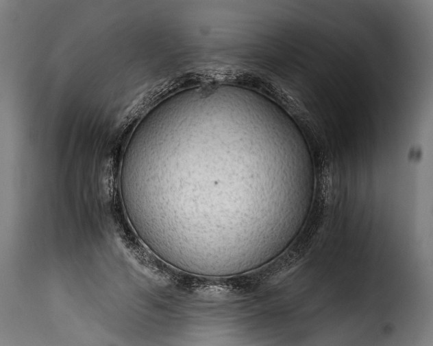 X0000115640594200911241713