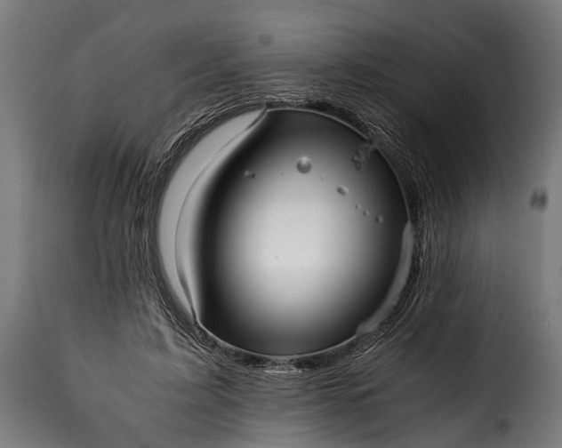 X0000115640595200911241713