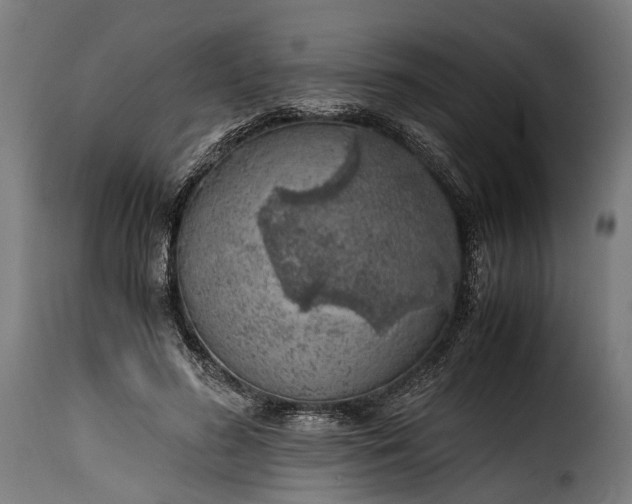 X0000115640596200911241713