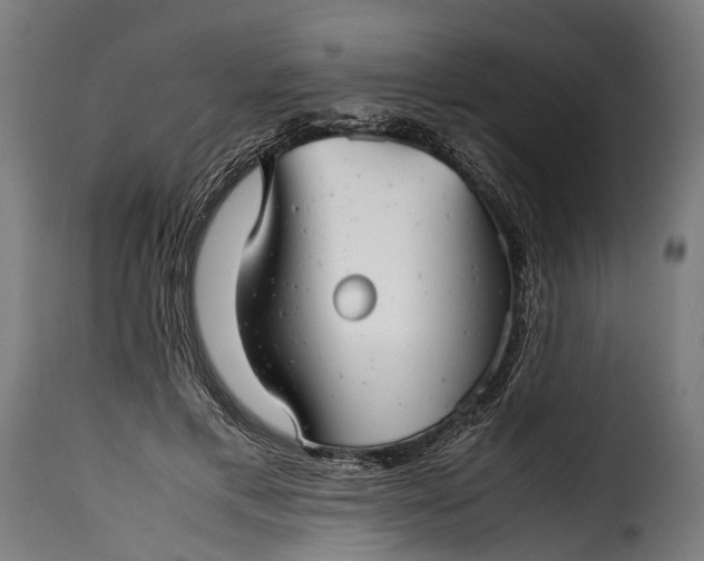 X0000115640597200911241713