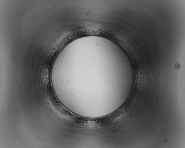 X0000115640598200911241713