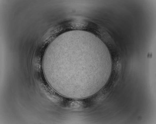 X0000115640599200911241713