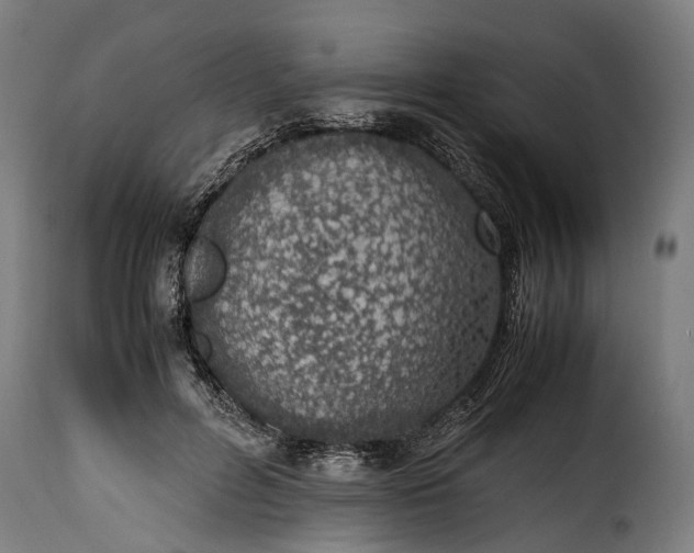 X0000115640600200911241713