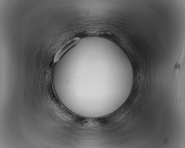 X0000115640601200911241713