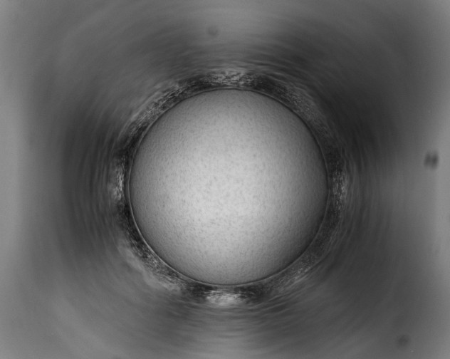 X0000115640602200911241713