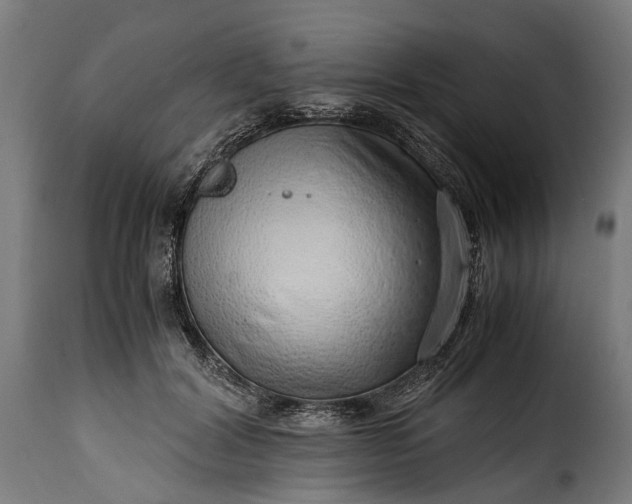 X0000115640604200911241713