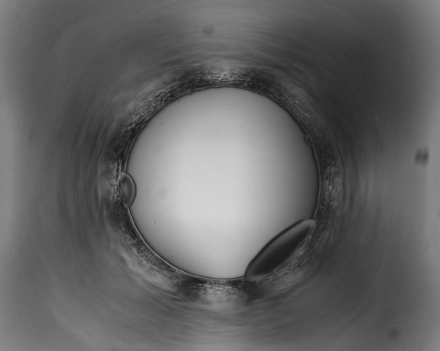 X0000115640605200911241713