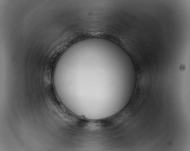 X0000115640606200911241713