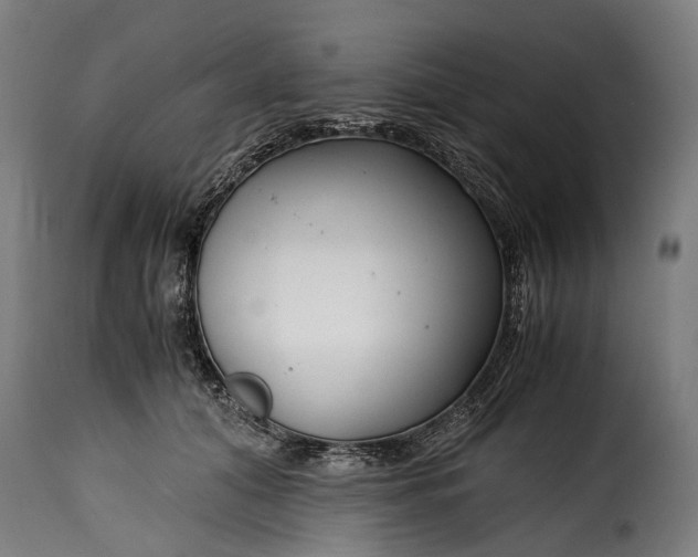 X0000115640608200911241713