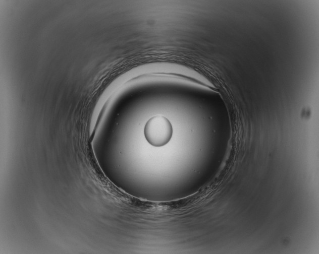 X0000115640609200911241713