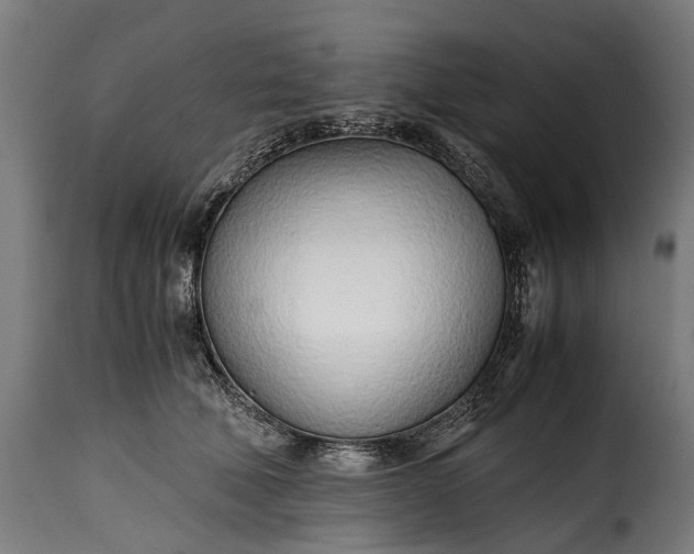 X0000115640610200911241713