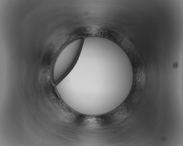 X0000115640611200911241713