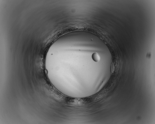 X0000115640612200911241713