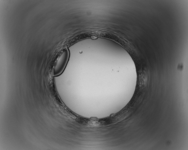 X0000115640613200911241713