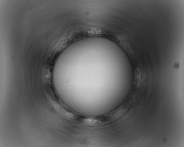 X0000115640614200911241713