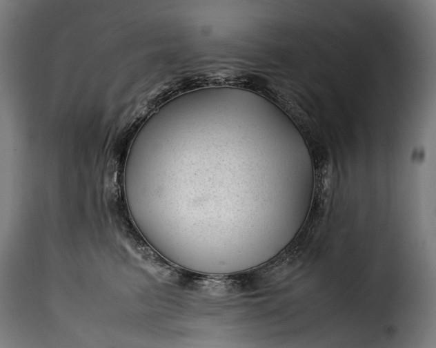 X0000115640615200911241713